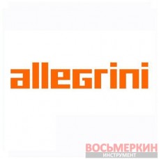 Полировочная глина ALLEGRINI 8 130gr 016LCA80001 Allegrini