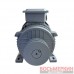 Двигатель Y132-2 120120265 ShiningBerg