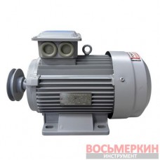 Двигатель Y90L1-2 120120267 ShiningBerg