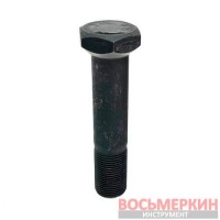 Болт крепления монтажного диска для грузовых станков 1695.301.566 Sicam, Beissbarth, Bosch