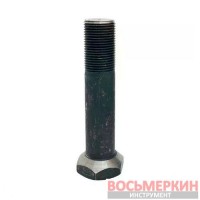 Болт крепления монтажного диска для грузовых станков 1695.301.566 Sicam, Beissbarth, Bosch