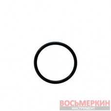 Уплотнительное кольцо TCS 1695.040.093 Sicam